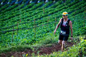 BIB: 1673
                            <button type="button" onclick="openModal(19159906)" class="btn btn-primary btn-sm float-right btn-popup" data-toggle="modal" data-target=".modal-high-quality">
                        <i class="fas fa-shopping-cart"></i> Add to Cart
                    </button>
                                            <button type="button" onclick="isThisMe(19159906, true)" class="btn btn-success btn-sm float-right btn-popup btn-isme hidden" data-toggle="tooltip" data-placement="bottom" title="นี่คือรูปของคุณใช่ไหม คลิกที่นี่เพื่อเอาเข้าอัลบั้ม">
                        <i class="fas fa-plus"></i> Add to album
                    </button>
                    <button type="button" onclick="isThisMe(19159906, false)" class="btn btn-warning btn-sm float-right btn-popup btn-isnotme hidden">
                        <i class="fas fa-ban"></i> Remove from album
                    </button>